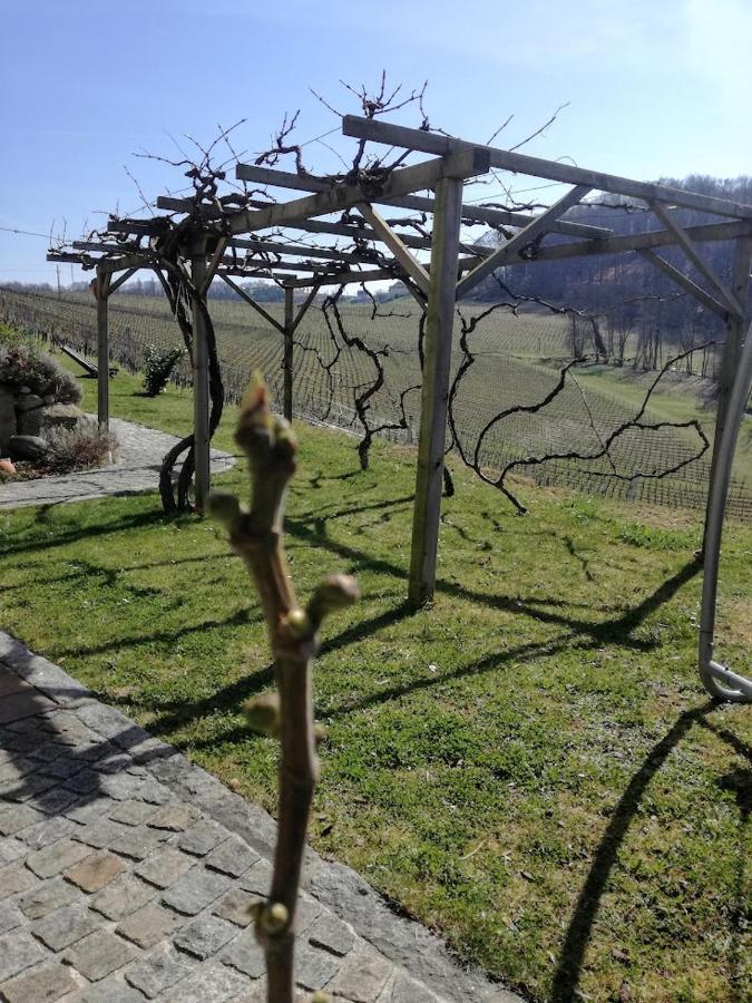 Das Weinberghaus Ratsch an der Weinstrasse Exterior photo
