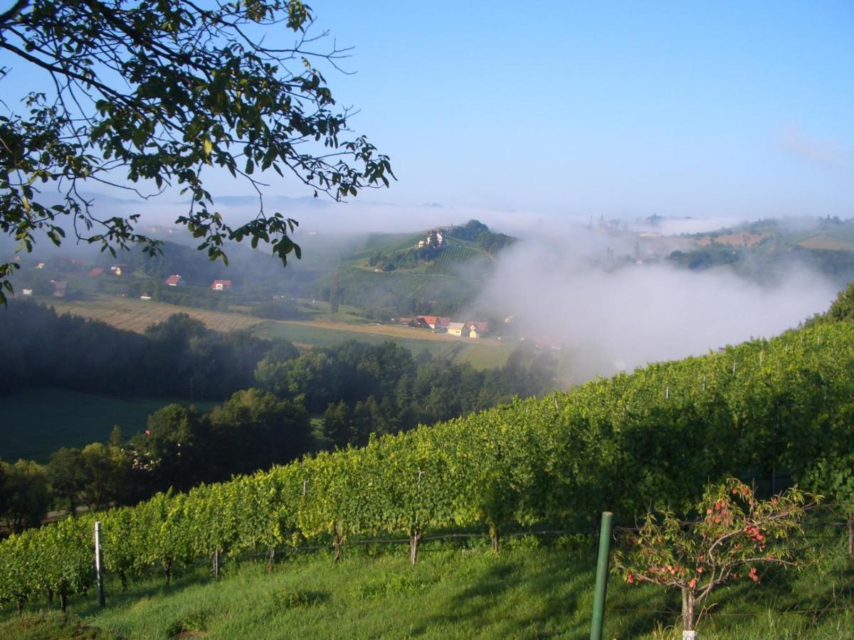 Das Weinberghaus Ratsch an der Weinstrasse Exterior photo